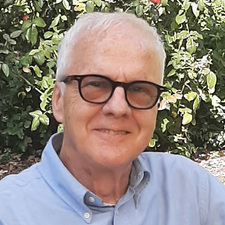 luca codignola